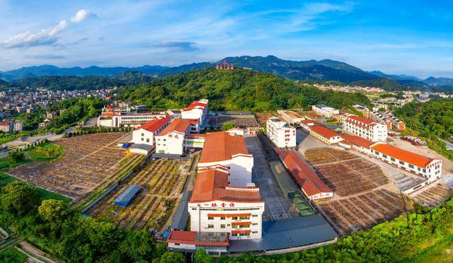 都”指尖技艺如何“燃动”指尖经济AG真人国际百亿产业！看“中国香(图1)